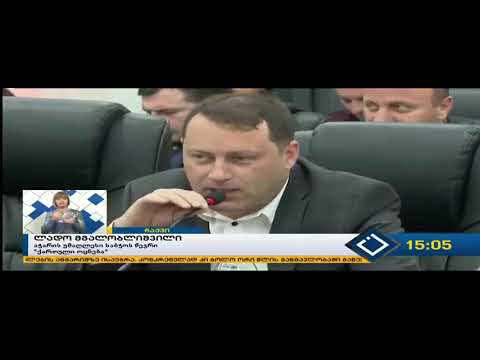 ლადო მგალობლიშვილის გამოსვლა  პლენარულ სხდომაზე
