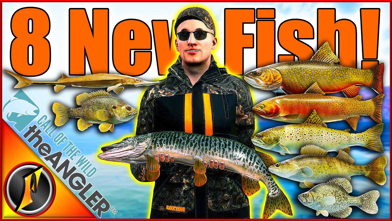 theAngler NEW UPDATE! Catching All 8 New Fish Species & More!!! 