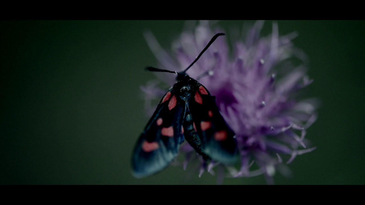 Freaky Farm - Biokarma (Matt Sawyer Remix) (Official video)