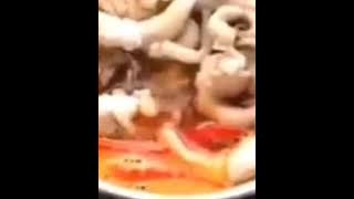 Tomyam Sotong Habuan Mak Mentua Mulut Jahat Kedaqah Is Doneee..!!!