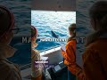 Låser upp Oceans största affärspotential #shorts