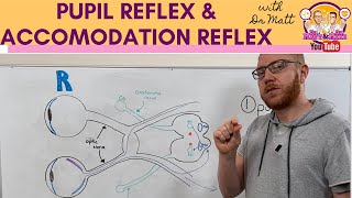 Pupillary light reflex and Accommodation reflex