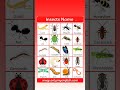 Insects Name In English рџђќ Insects Name In English рџђќ