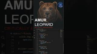 #coding #pythonanddjangofullstackwebdeveloper #programming #python #javainstitutesrilanka #css #htm