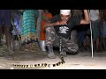 Banded Krait Venomous Snakes Rescue In Night From: Kasimpur, Dhusuri, Odisha, India