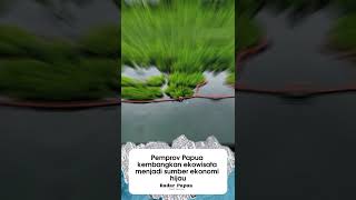 Pemprov Papua Dorong Ekowisata Jadi Ekonomi Hijau