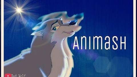 When can I see you again Animash. Thank you for 100 subs!!!!!