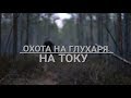 Охота на глухаря на току. Тверская обл.