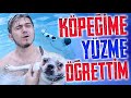 KÖPEĞİME YÜZME ÖĞRETTİM !