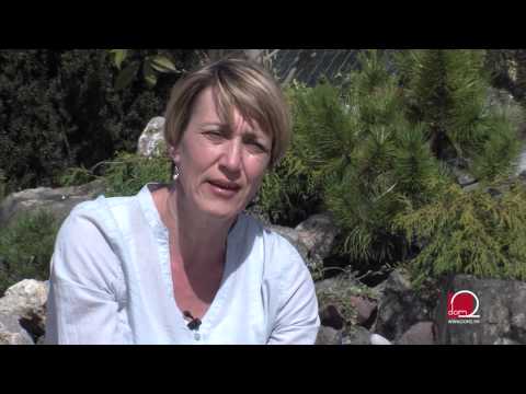 Video: Koromač - raste u ljetnoj kućici