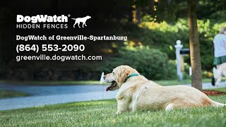 DogWatch® of GreenvilleSpartanburg  Your Local Electronic Dog Fence Experts!