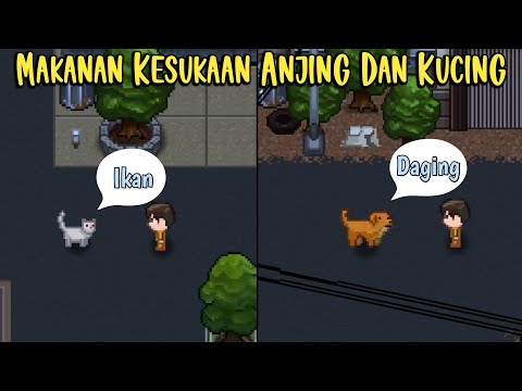 Video: Cara Melakukan Pembukaan Tanah: 12 Langkah (dengan Gambar)