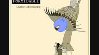 the joy formidable 9669