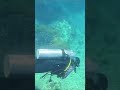 SEAHORSE DIVING CLUB 🤿 #scubadiving #divewithpurpose #travel #emcobanglongvequemecunganh