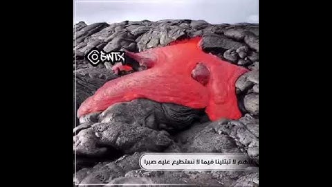 أجمل حالات واتس قرآن كريم بصوت جميل فقط استمع بقلبك