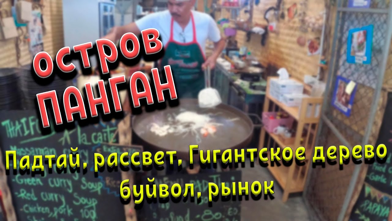 Тайланд. Панган. Рассвет. Буйвол. Огромное дерево. Рынок. - YouTube