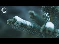 Deep House Mix 2020 · Christmas Time · Carlos Grau