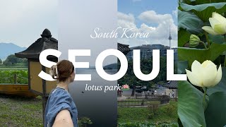 картинка: South Korea vlog #lifeinkorea парк лотосов и дворец Кёнбоккун 🇰🇷🪷