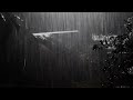 Rain Sounds For Sleeping - 99% Instantly Fall Asleep With Rain And Thunder Live #liverainsounds