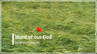 Word of our God Bryn Haworth with Lyrics (4K)