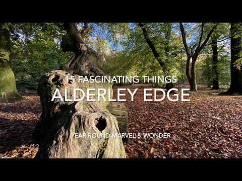 15 Fascinating Things around Alderley Edge