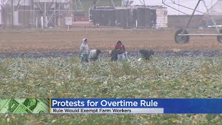 Farm Workers' Advocates Claim Proposed Rules By Colorado Department Of Labor Regarding Overtime Is U Net Worth
