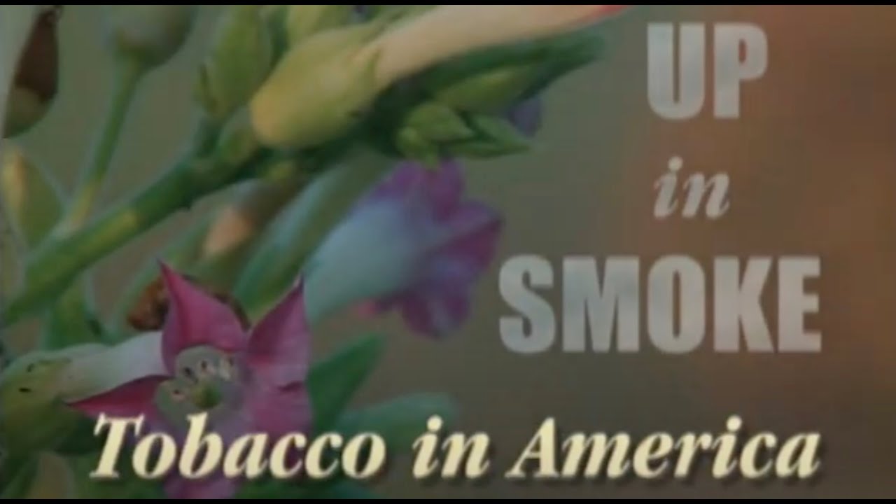 Up in Smoke - Tobacco in America  | Classics (2001)