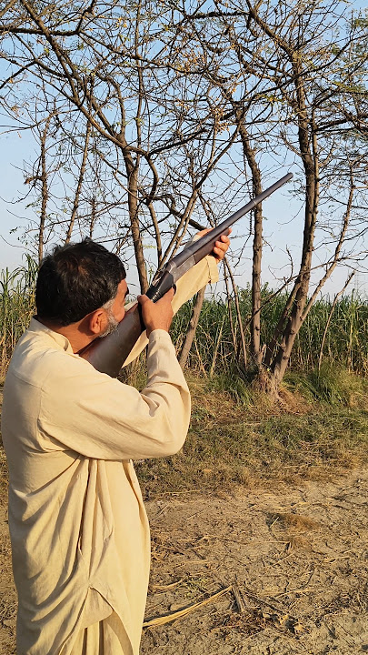 Birds in Action: A Hunting Adventure!