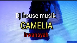DJ Camelia Irwansyah KARAOKE #dj#camelia#irwansyah #djremix #karaoke