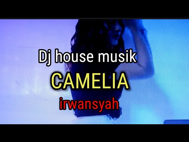 DJ Camelia Irwansyah KARAOKE #dj#camelia#irwansyah #djremix #karaoke class=