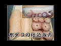 【生タコ】水タコの仕込み方と吸盤の下処理【寿司屋の仕込み方】How to fillet Raw octopus　創業100年よろい寿司