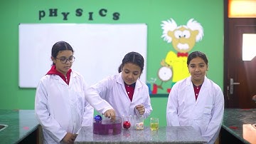 science- Grade 7-  Sinking and Floating Experiment