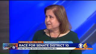 Battleground Virginia: Race for District 10