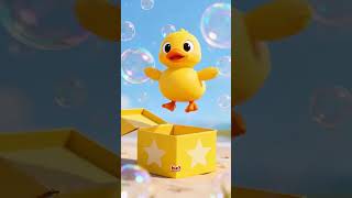What's in the box!