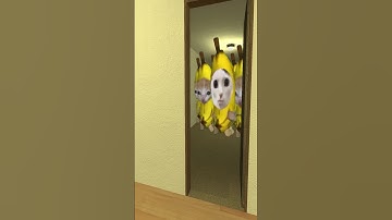 banana cat family! nextbot in gmod