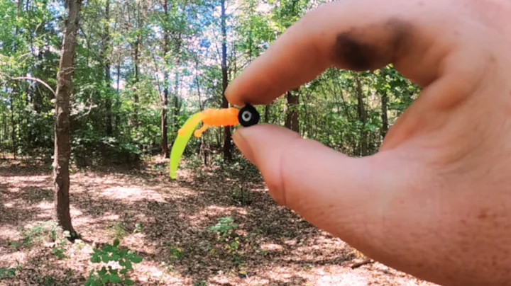 HOW TO FISH A CRAPPIE JIG
