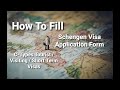 How To Fill Schengen Visa Application Form in hindi urdu punjabi