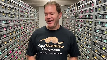 My top 12 favorite Ball Python holdbacks from 2019!