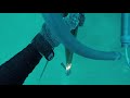 Shark citing #3 Aug 2019
