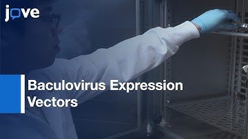Baculovirus Expression Vectors Modificationto Produce Plant Proteins | Protocol Preview
