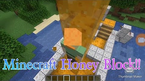 Honey Block Minecraft 1.15 bees and bugs update (Java) Minecon Announced!