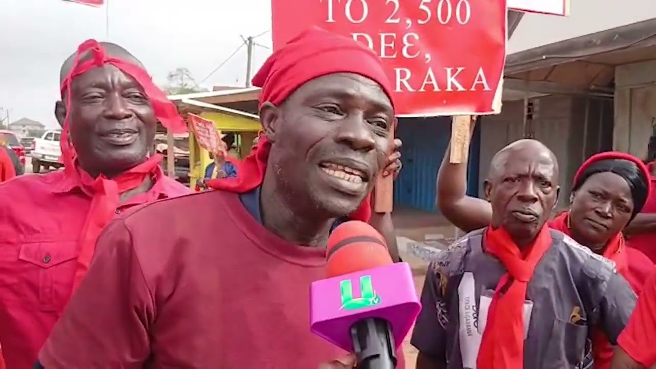 Western North Cocoa Farmers Protest Price Cut @TheFarmersVoiceGh @utvghanaonline @thegbcghana