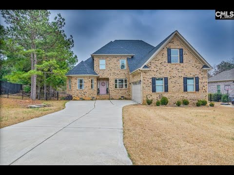 312 Holly Key Lane, Chapin, SC home video tour