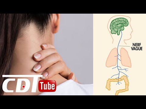 Vidéo: Quels sont les traitements pour un chiot avec de l'eau sur le cerveau?