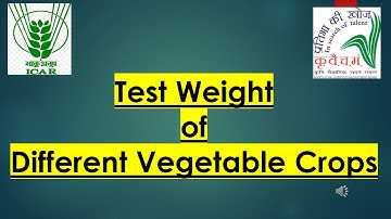 Test weight of different vegetable crops #asrb #icar_net #vegetablescience #upcatet #bscag #afo