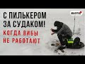 КИТАЙСКИЙ ПИЛЬКЕР на СУДАКА!