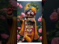 to chaka akhire ⭕‼️⭕🙏 jay jagannath 🙏#youtubeshorts #trendingshort #viralvideo #jagannath #bhajan