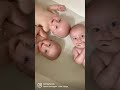 Bath Tub Full Of Happy Babies Bath Tub Full Of Happy Babies