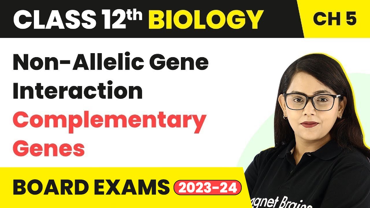 Class 12 Biology Chapter 5 | Non-Allelic Gene Interaction - Complementary Genes CBSE/NEET (2022-23)