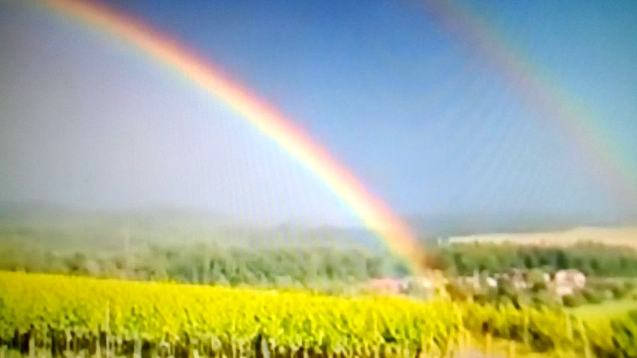 Somewhere over the Rainbow Thomas Fraser   from Shetland Scotland  Availiable on CD